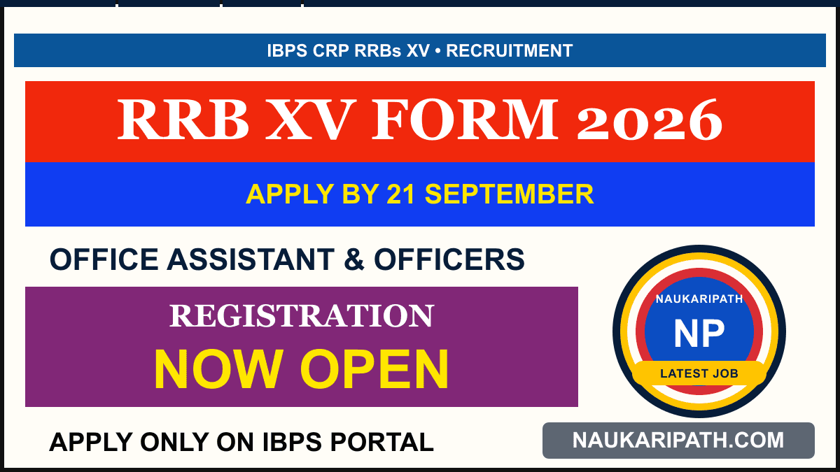 IBPS CRP RRBs XV Recruitment 2026 — NaukariPath thumbnail